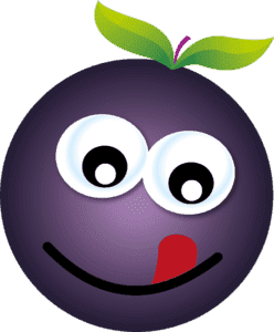 Black Elderberry is Berry Delicious