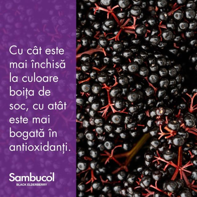 Fructele de soc folosite în rețetele Sambucol sunt cele din soiul Haschberg, o varietate europeană cu o concentrație foarte ridicată de #antociani și #antioxidanți, care face ca produsele Sambucol să fie mai puternice cu 30% decât alte produse pe bază de soc de pe piață.#sambucol #sambucolro #nutrienti #antioxidanti #radicaliliberi #sambucolromania #echilibru #alimentatie #alimentatiesanatoasa #alegerisanatoase #echilibru #aigrijadetine #imunitate #stildeviata #stildeviatasanatos #sanatate #sanatatefizica #rutinazilnica #romania
