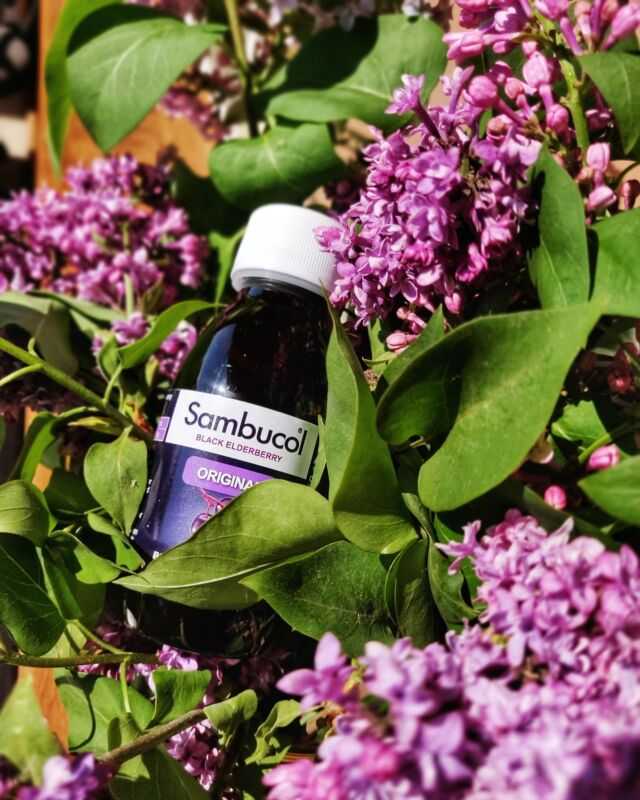 🌸 Mirosul florilor în această perioadă e absolut divin. La fel este și cel al produselor Sambucol. Să nu mai zicem de gust...Gama noastră e variată, ca să îndeplinească nevoile tuturor. De la jeleuri până la siropuri… tu alegi modalitatea prin care vrei să îți sprijini imunitatea. Important e să o faci. 💟#sambucol #sambucolro #imunitate #natural #socnegru #immunoforte #imunitatecrescuta #imunitateafamiliei #staredebine #imunitatecopii #suportimunitar #romania #stildeviata #stresoxidativ #protectiacelulelor #protectieaimunitatii #protectiafamiliei #imunitate